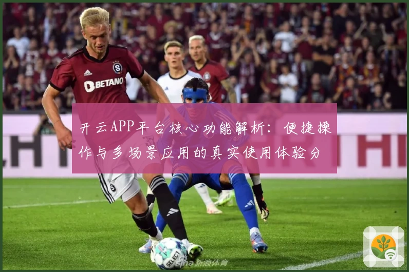 开云APP平台核心功能解析：便捷操作与多场景应用的真实使用体验分析